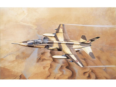 イタレリ 1/72飛行機 1254 1/72 ジャギュアE | タミヤ